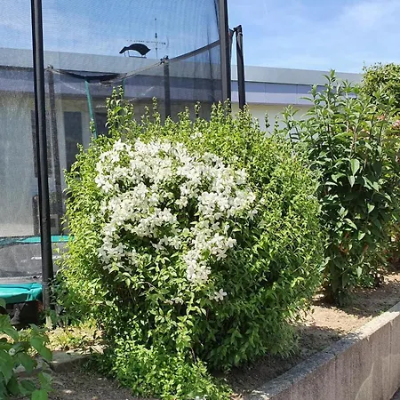 Feels Like @ Eppinger * Remseck am Neckar