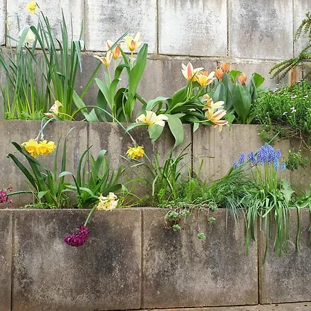 Feels Like @ Eppinger Appartement *