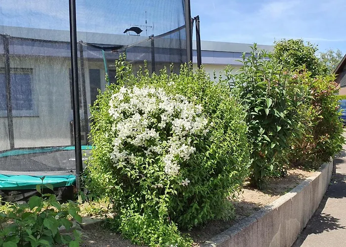 Feels Like @ Eppinger * Remseck am Neckar