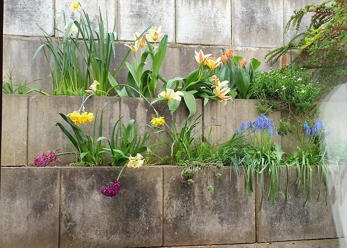 Feels Like @ Eppinger Apartamento *